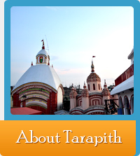 About Tarapit